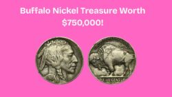 Discover the Fortune: Dateless Buffalo Nickel Fetching Hundreds of Thousands!