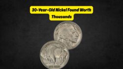 After 30 Years, a Buffalo Nickel Emerges Worth Thousands—A Rare Coin Discovery!